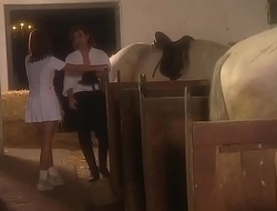 Sensual brunette banged in the horse stable
